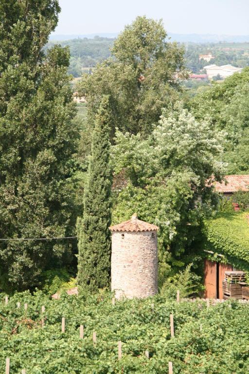 Agriturismo Corte Marzago Salionze المظهر الخارجي الصورة